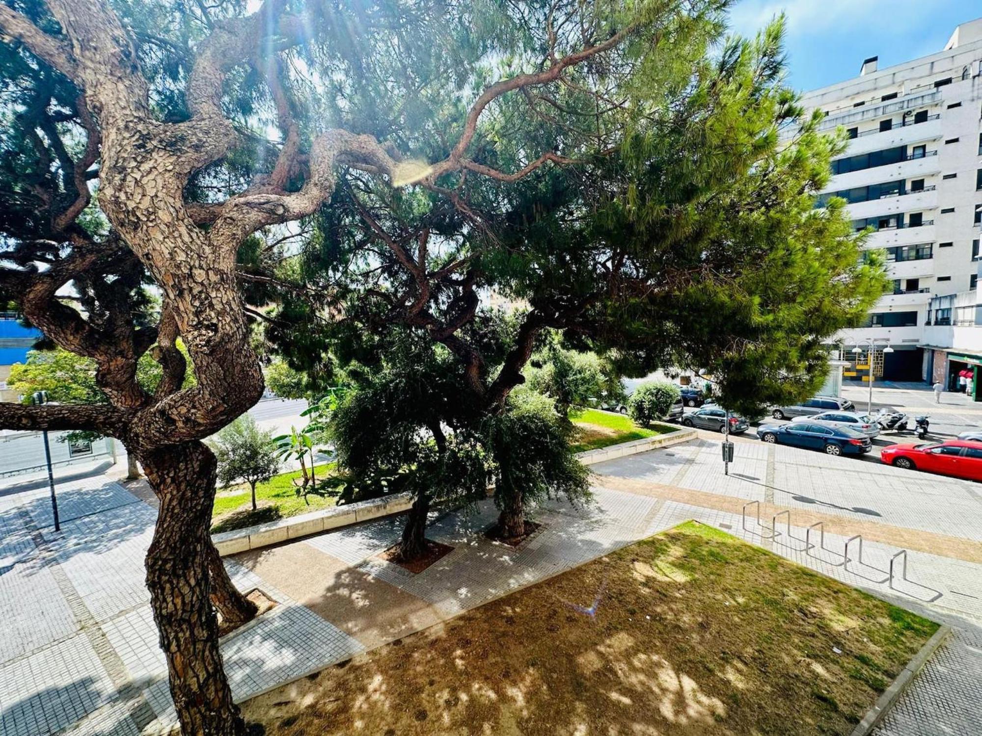 카디스 Avenida Portugal Con Ascensor Grupo Ac Gestion 아파트 외부 사진